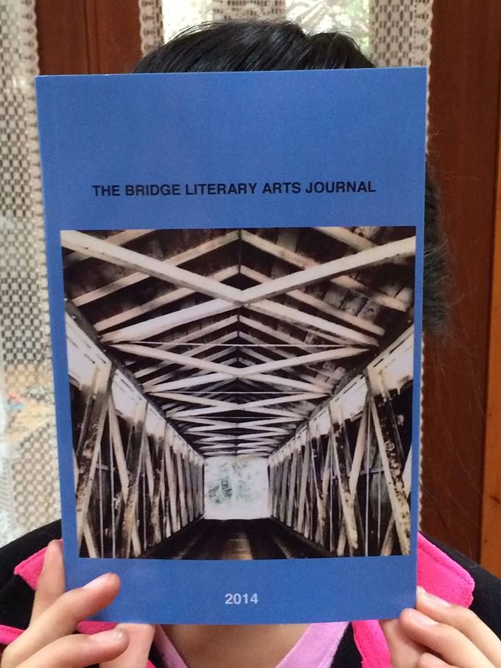 the_brdige_book_cover.jpg